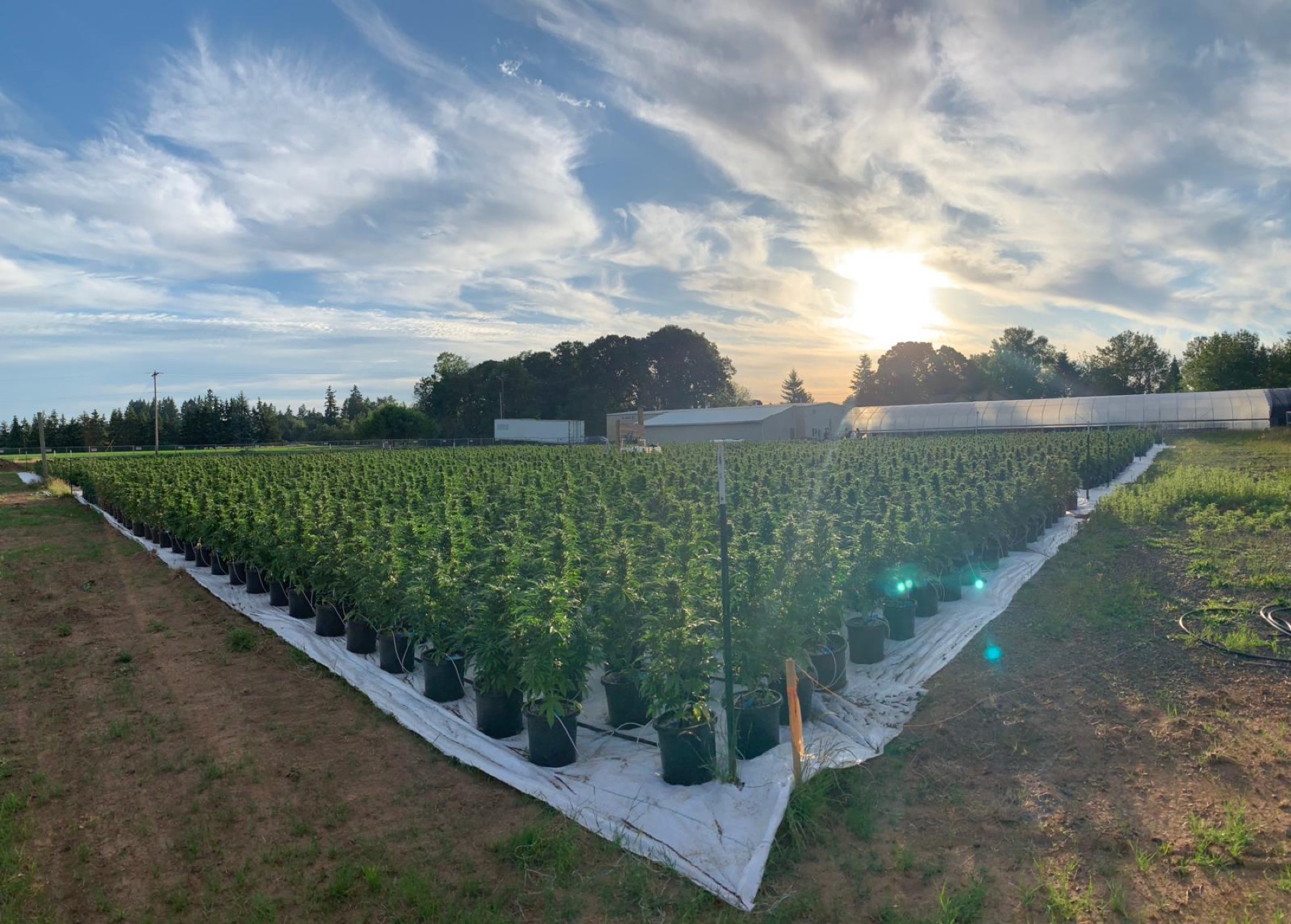 Selected ExtractOS field experience photo 02